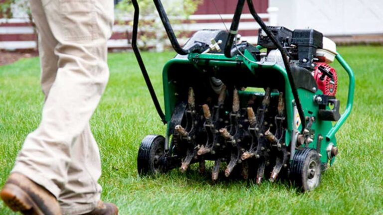 Maximizing Your Lawn with Aeration