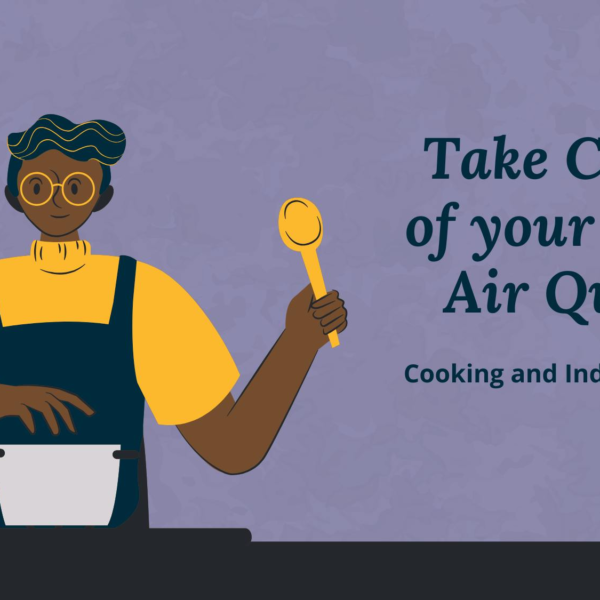 Air Quality Improvement Strategies for Indoor Pollution from Cooking and Urban Smog